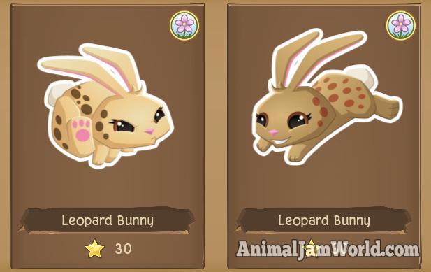 tunnel-town-leopard-bunny