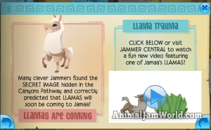 Llamas are Coming