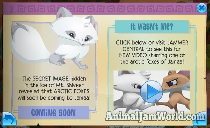 animal-jam-arctic-fox-foxes-coming