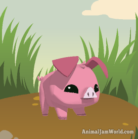 animal-jam-pig-codes-1