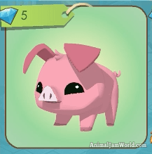 animal-jam-pig-codes-3