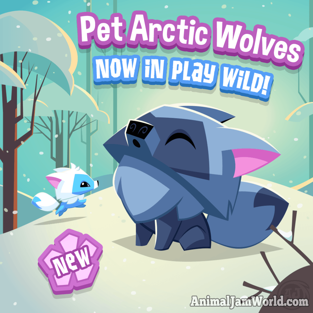 Pet Arctic Wolves in Play Wild - AJPW Pet Guide